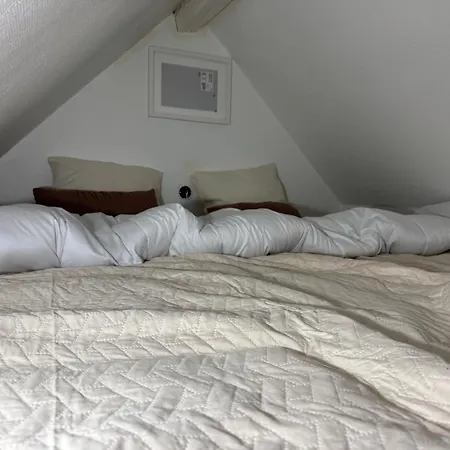 F1 Meuble * Illkirch-Graffenstaden